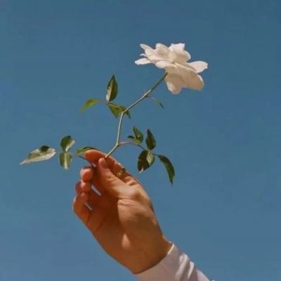 主题医院果盘手游下载